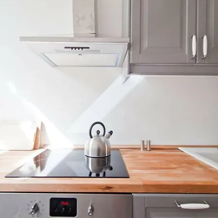 Magnificent Turn Of Century Flat Apartman Berlin